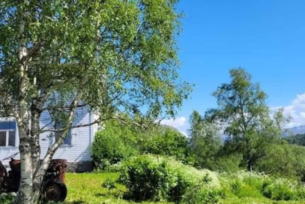 Ferienwohnung Skogan Leirfjord Exterior foto